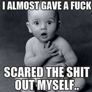 Meet your Posher, Duane